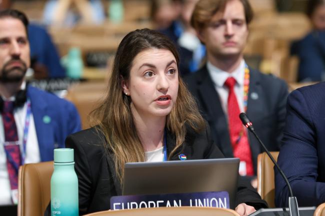 Veronika Skolasztika Bagi, EU