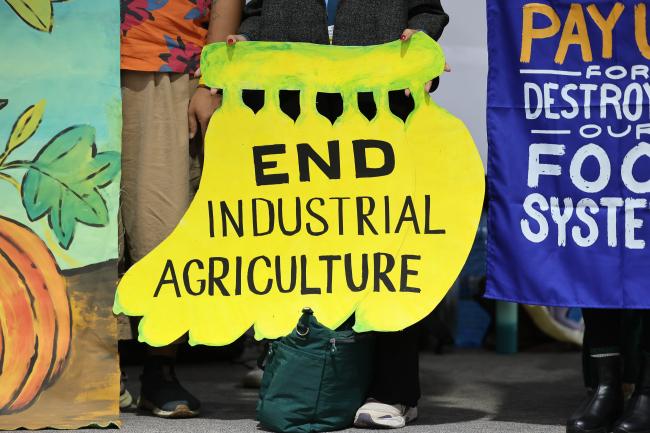 Climate Actions