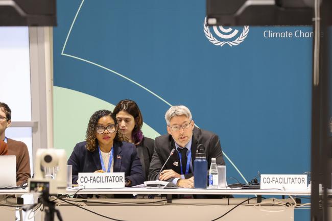 Gender and climate change Co-Facilitators Ruleta Camacho Thomas, Antigua and Barbuda, and Marc-André Lafrance, Canada