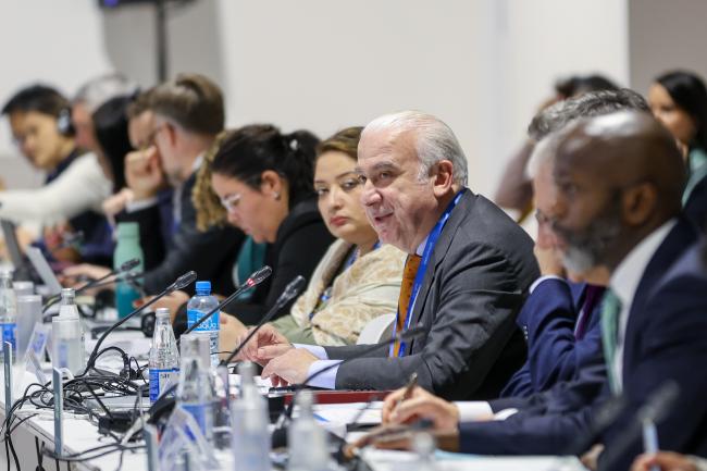 Daniele Violetti, UNFCCC Secretariat