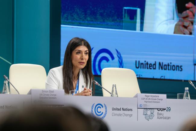 Nigar Arpadarai, COP 29 UN Climate Change High-level Champion