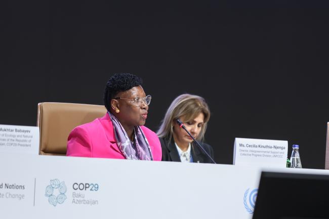 Cecilia Kinuthia-Njenga, UNFCCC Secretariat