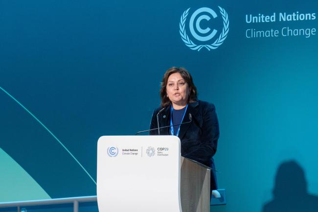 Umayra Taghiyeva, Deputy Minister of Ecology and Natural Resources, Azerbaijan_1222811-1-2