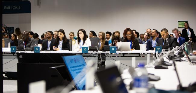 Yalchin Rafiyev, COP 29 Lead Negotiator, and Sue Biniaz, Principal Deputy Special Envoy, the US - Formulating and Implementing NAPS -19Nov2024