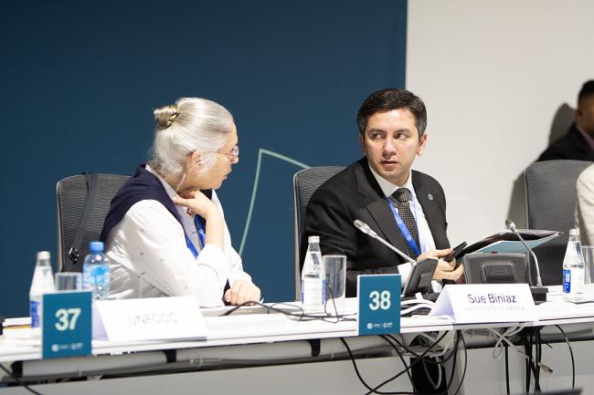 Yalchin Rafiyev, COP 29 Lead Negotiator, and Sue Biniaz, Principal Deputy Special Envoy, the US - Formulating and Implementing NAPS -19Nov2024