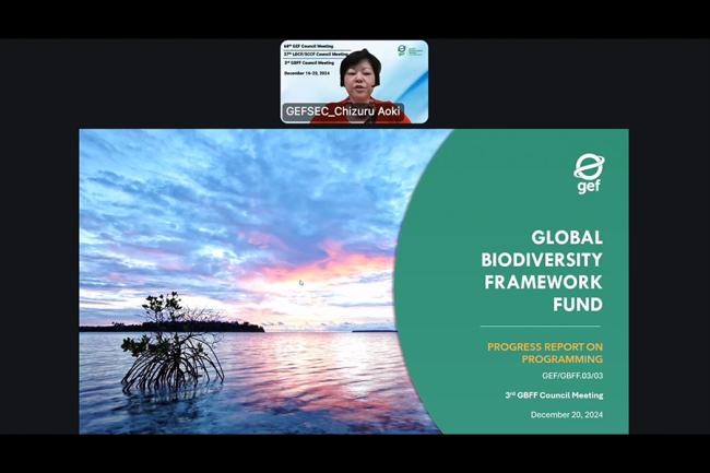 A slide from the presentation by Chizuru Aoki, GEF Secretariat