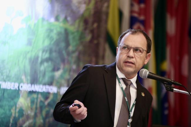 Alfonso Hernández Ángel, National Association of Importers and Exporters of Forest Products, Mexico