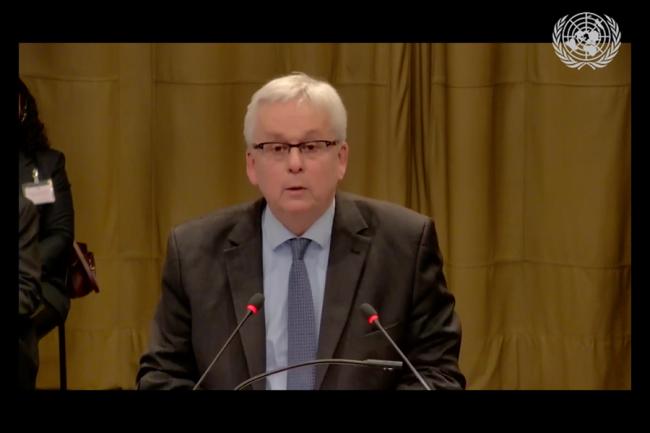 Andreas Zimmermann, University of Potsdam, speaking for Germany