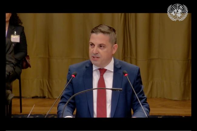 Armand Skapi, Secretary General, Ministry for Europe and Foreign Affairs, Albania