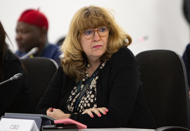 Astrid Schomaker, Executive Secretary, CBD - EMG UNCCD COP16 - 4Dec2024