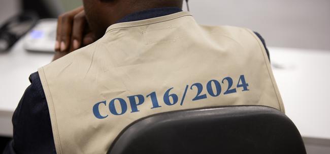 COP16 COP2024- Locally led landscape management - GEF SGP - UNCCD COP16 - 7Dec2024