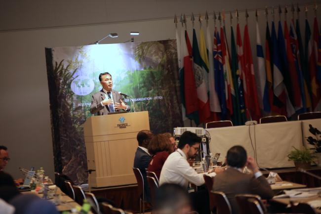Yongyut Trisurat, Kasetsart University, delivers a presentation. 