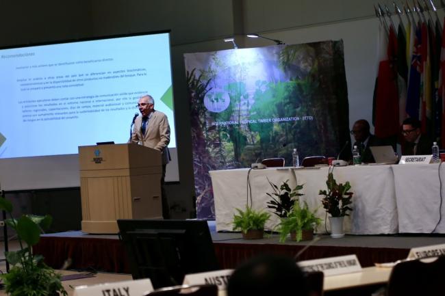 Jorge Mario Rodríguez Zúñiga, Costa Rica, presents on a Costa Rican project during the CRF Committee session.