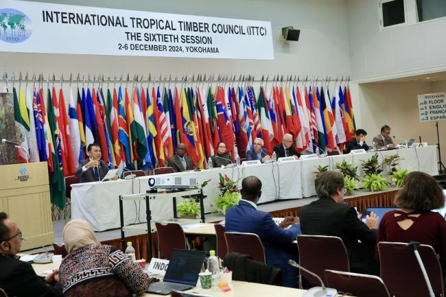 Panelists on the dais respond to questions from Committee members.