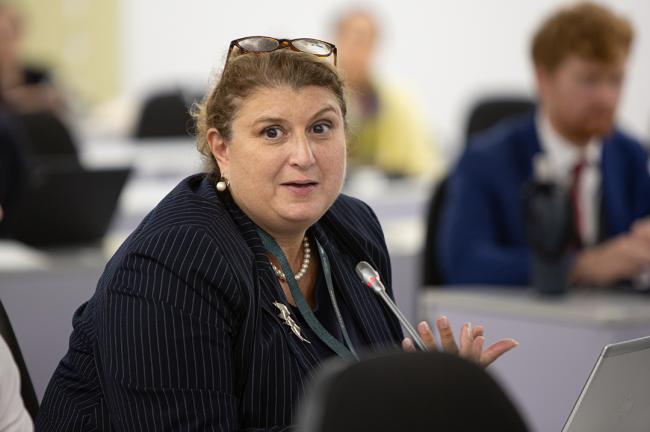 Carol Chouchani Cherfane, Director, Arab Centre for Climate Change Policies, ESCWA - EMG UNCCD COP16 - 4Dec2024