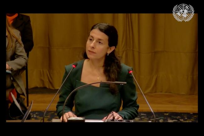 Catherine Amirfar,  Member of the Bar of the US Supreme Court and the Bar of the State of New York