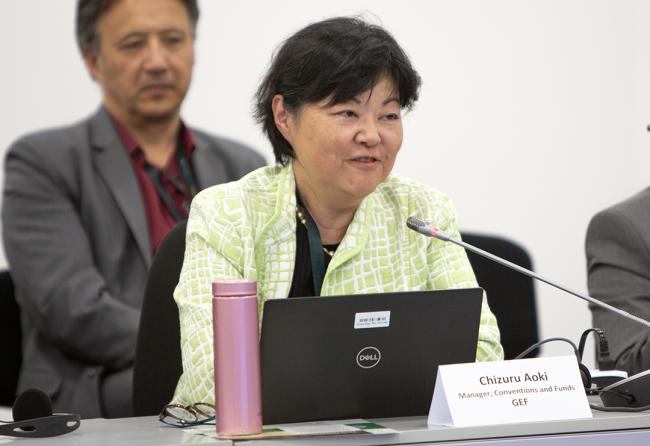 Chizuru Aoki, GEF Secretariat - GEF-8 and Beyond - 4Dec2024