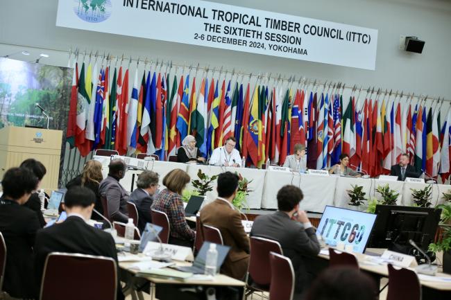 Delegates meet during the Council session.