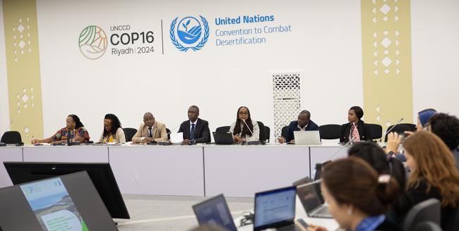 Dais 1 - Implementation of the Great Green Wall strategy - GEF SGP - UNCCD COP16 - 7Dec2024