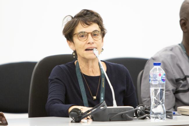 Deborah Gofer, France - Rethinking Urban Landscapes - UNEP - UNCCD COP16 - 6 Nov