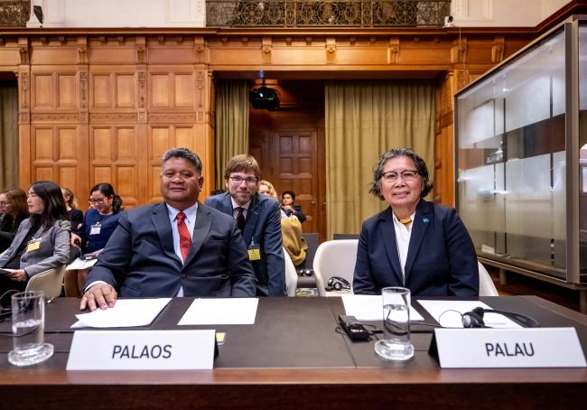 Delegates from Palau