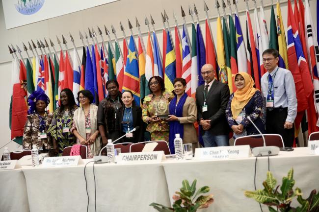 Delphine Ahoussi, Association MALEBI, Côte d'Ivoire, receives the ITTO award for empowering African women in community forest management.
