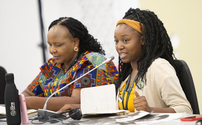 Dorothy Mumbi, New Zambian Innovations (CSO, Zambia) Implementation of the Great Green Wall strategy - GEF SGP - UNCCD COP16 - 7Dec2024