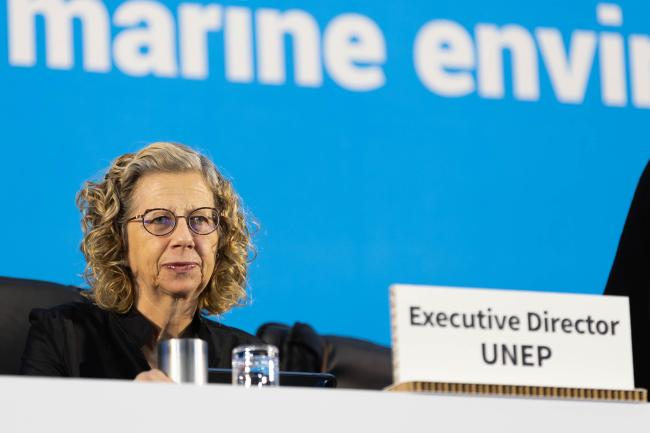 Inger Andersen, Executive Director, UNEP