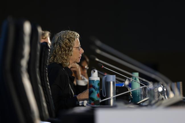 Inger Andersen, Executive Director, UNEP