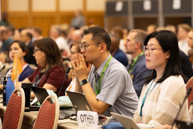Delegates listen to the interventions