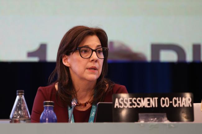 Pamela McElwee, Nexus Assessment Co-Chair