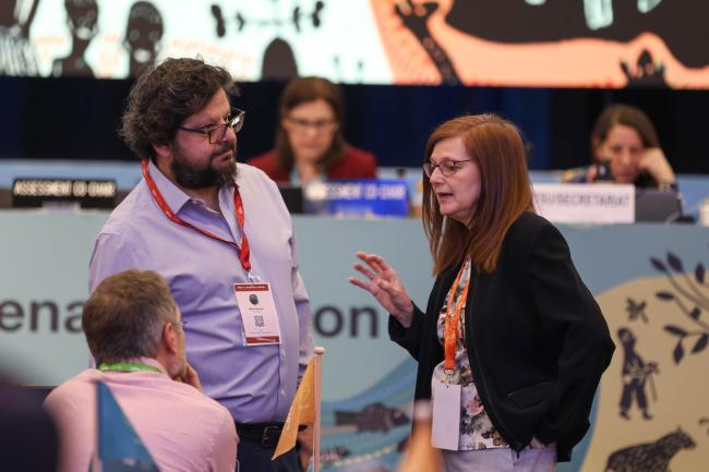 Paula Harrison, Nexus Assessment Co-Chair, speaks with delegates