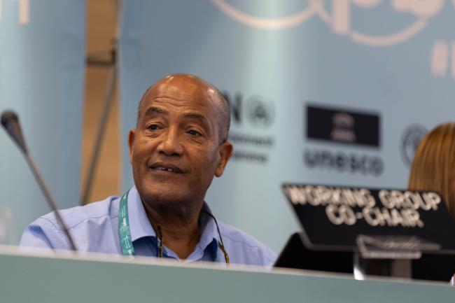 Sebsebe Demissew, Working Group 2 Co-Chair