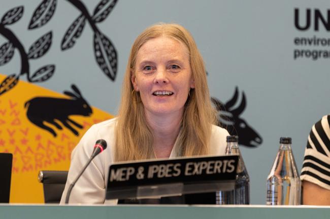 Ingunn Storrø, Technical Support Unit on Capacity Building