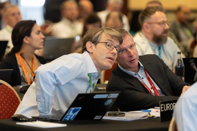 Delegates from the EU consult