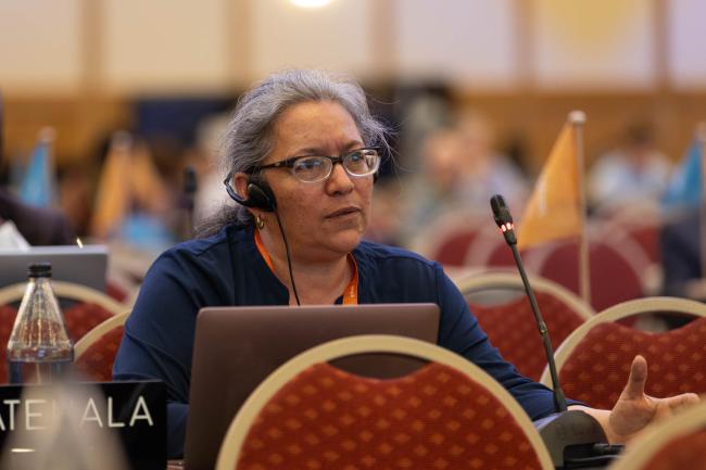 Mercedes Barrios Ruiz, Guatemala