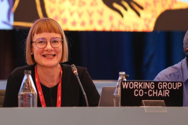 Eva Primmer, Working Group 2 Co-Chair