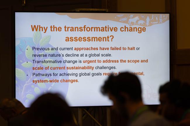 A slide highlights the importance of conducting a transformative change assessment