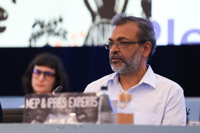 Arun Agrawal, Transformative Change Assessment Co-Chair