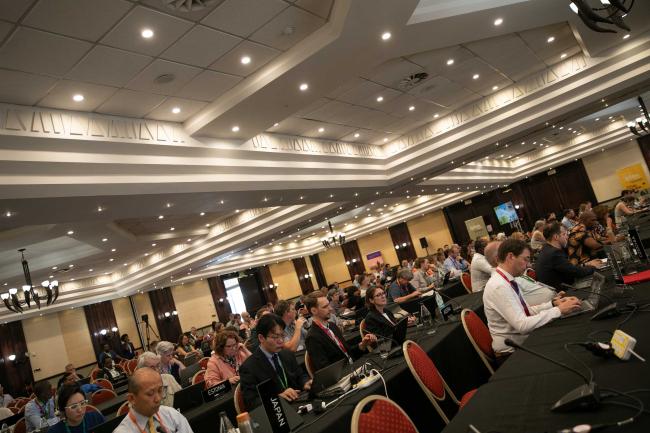 Delegates gather to continue discussions on the Nexus Assessment