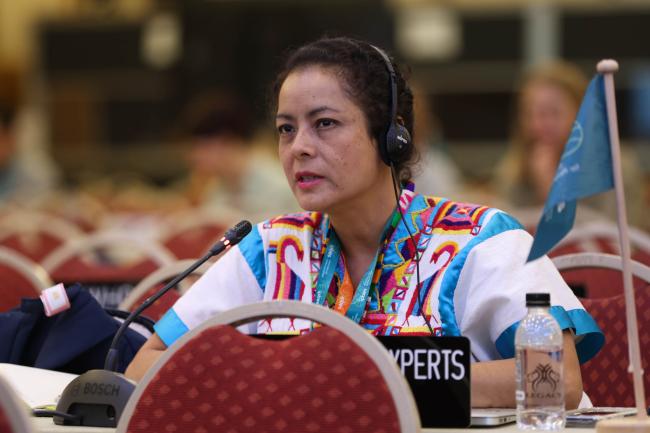 Guadalupe Hernandez Marquez, International Indigenous Forum on Biodiversity and Ecosystem Services (IIFBES)