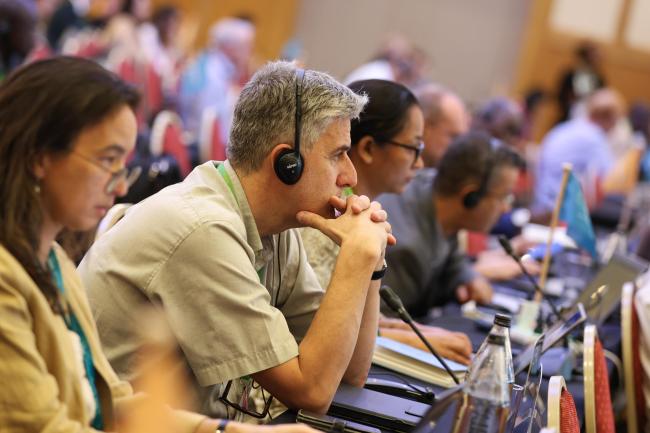 Delegates consider the text