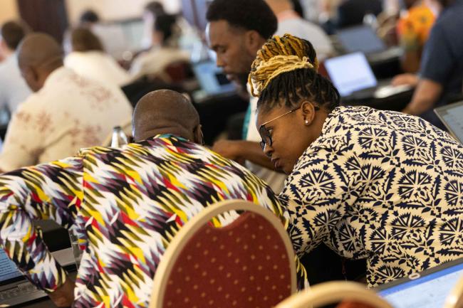 Observer delegates consult