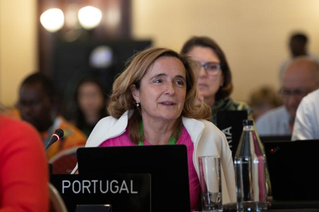 Helena Freitas, Portugal
