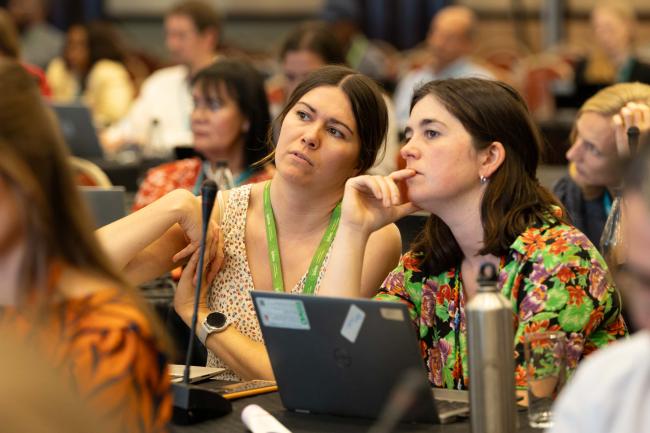 Delegates from the UK consult