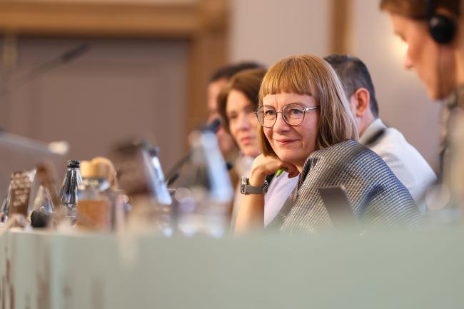Eeva Primmer, Working Group 2 Co-Chair, facilitates discussions under the Nexus Assessment