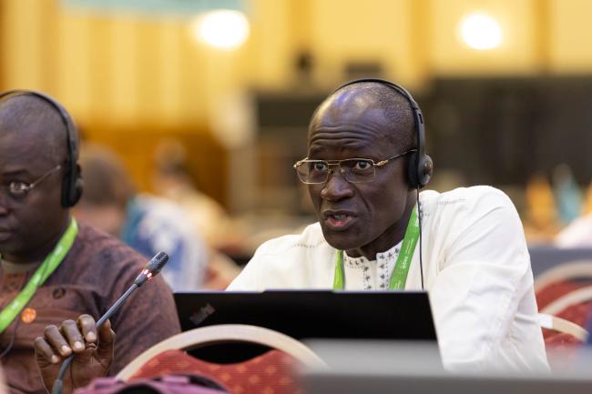 Mamadou Ndiaye, Senegal