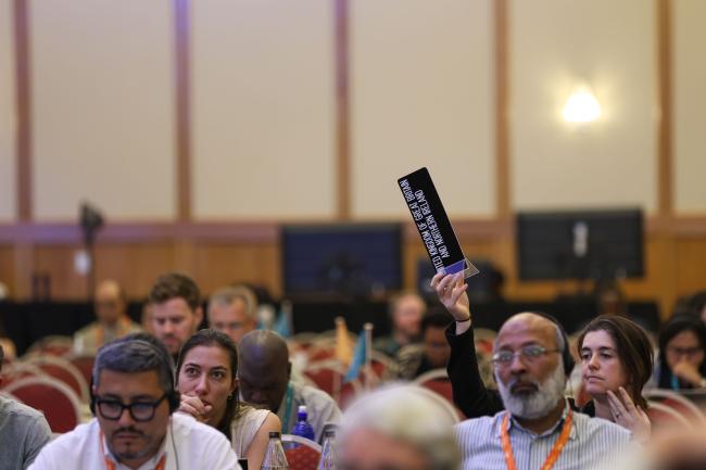 Delegates raise their placards to speak