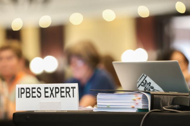 IPBES experts