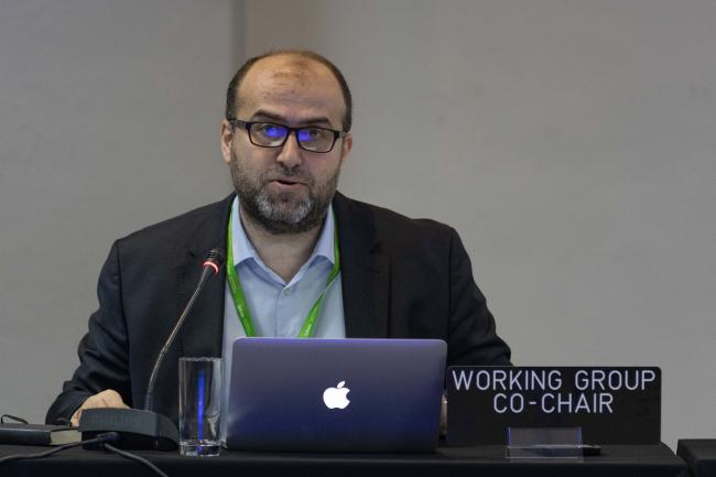 Erik Grigoryan, Contact Group Co-Chair